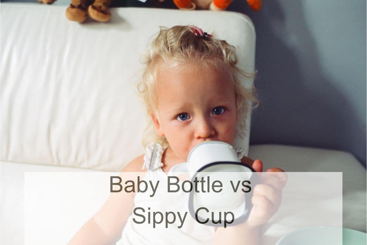 Baby Bottle vs Sippy Cup