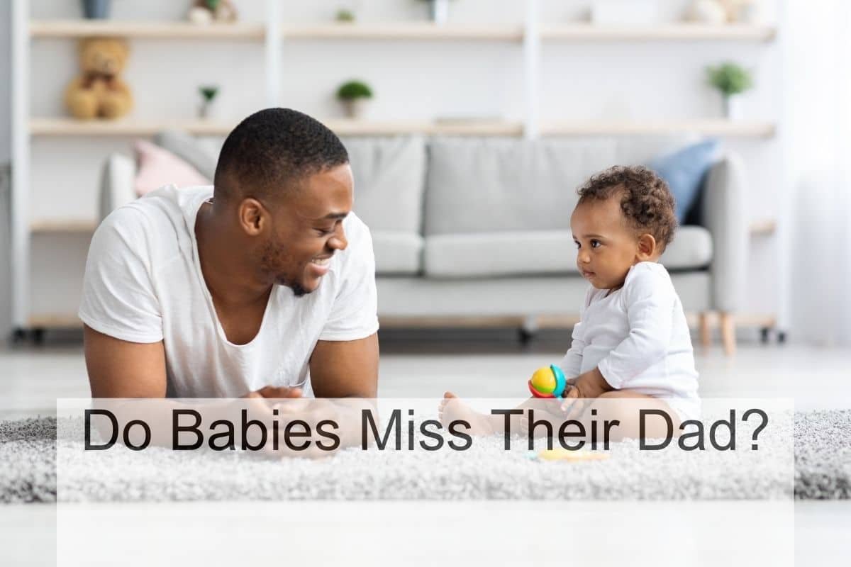 Do Babies Miss Their Dad