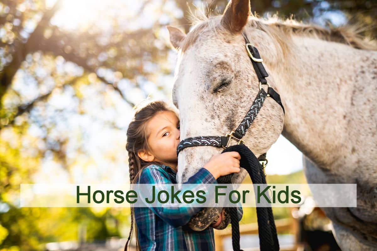 Horse Jokes For Kids