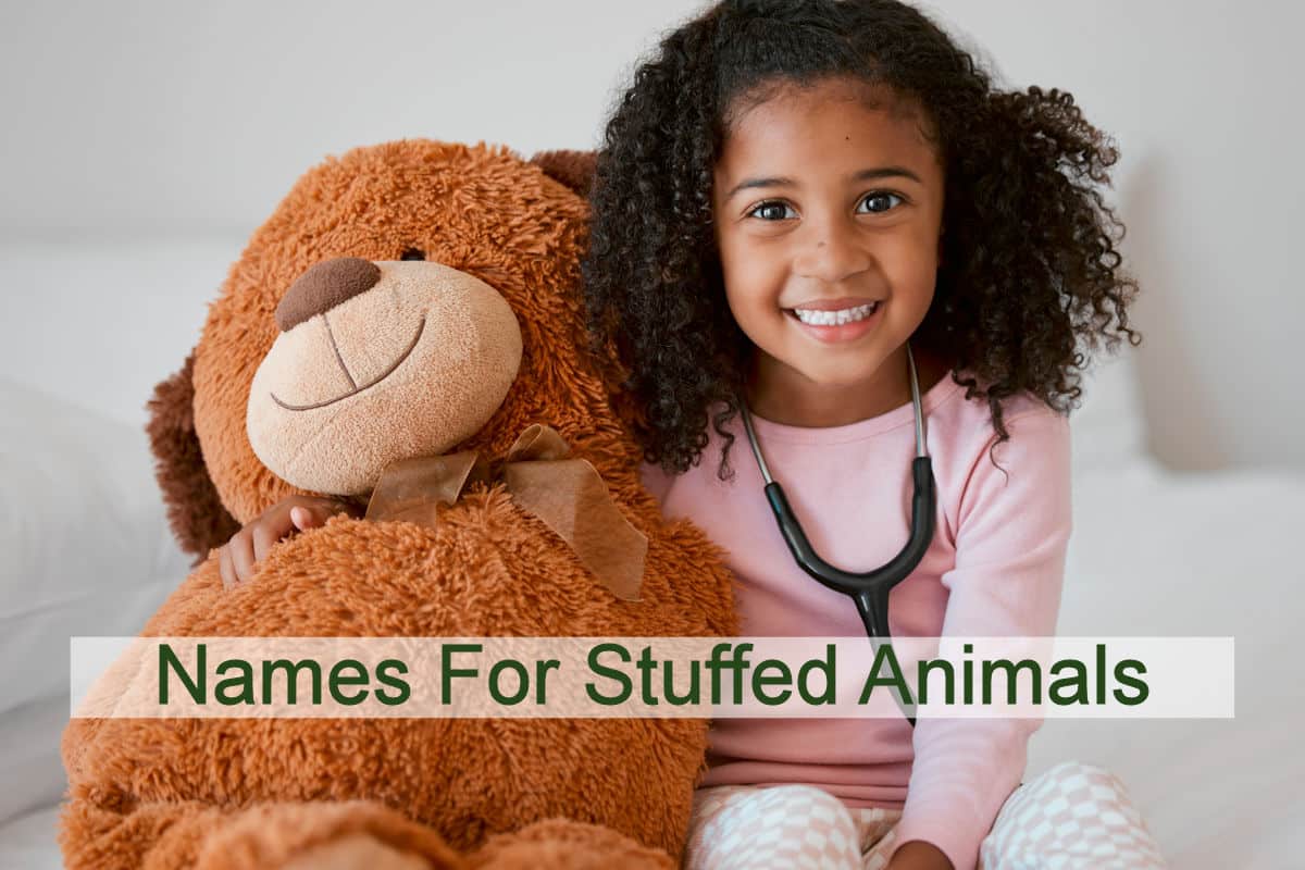 Names For Stuffed Animals