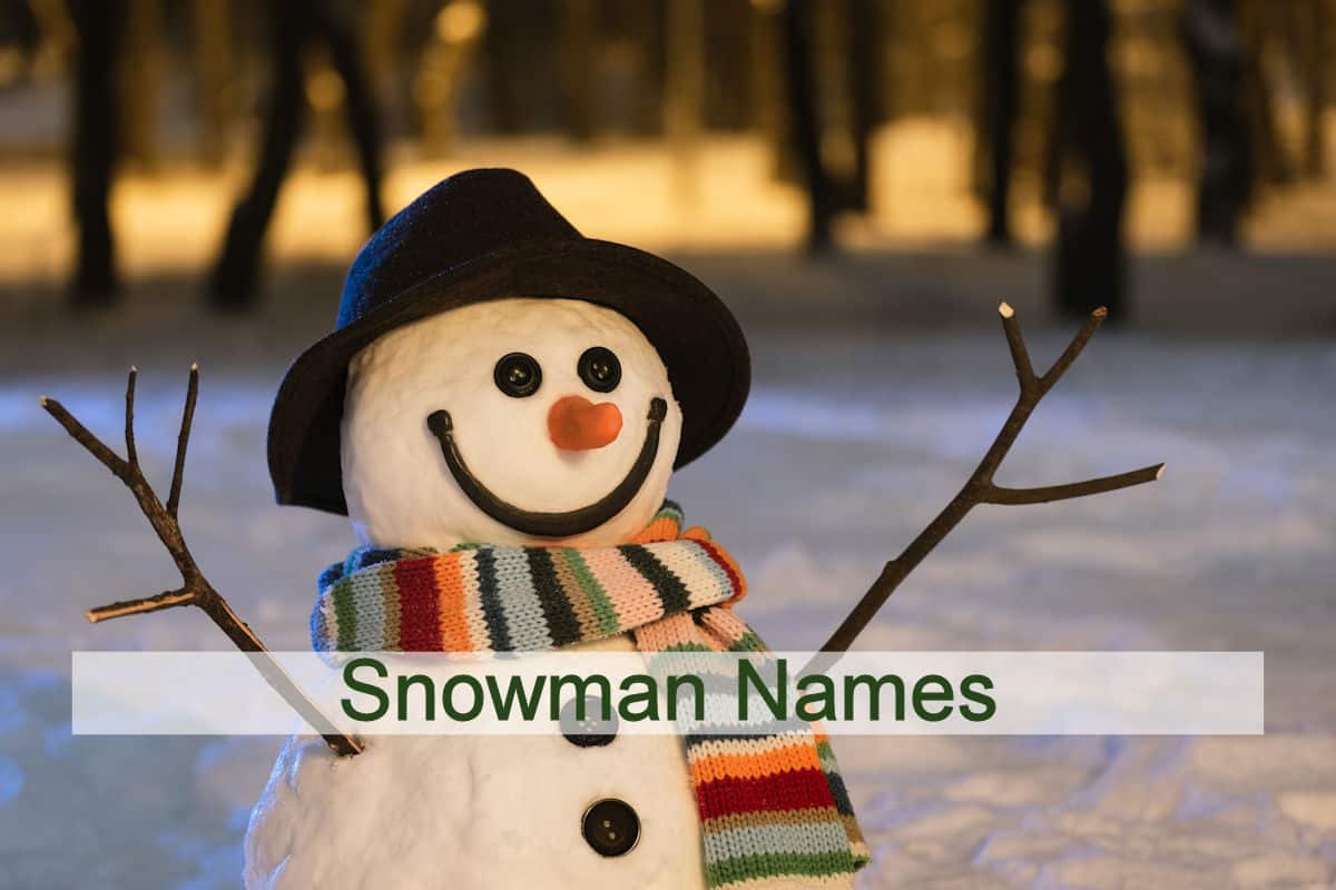 Snowman Names