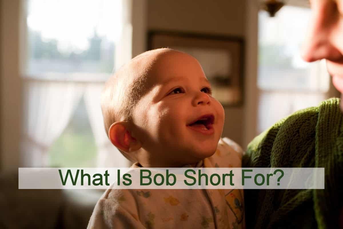 What Is Bob Short For?