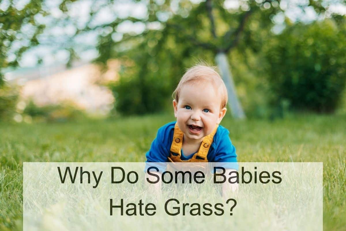Why Do Some Babies Hate Grass