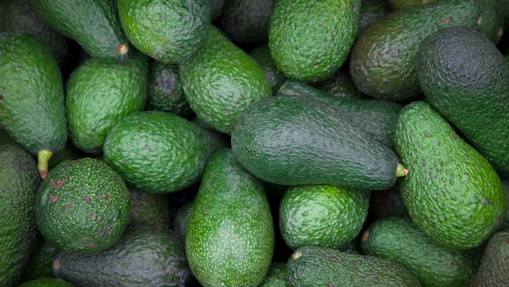 Image1